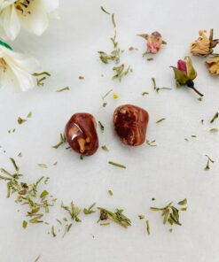 Cornalina – Energía y vitalidad